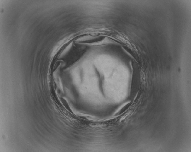 X0000076350340200610161804