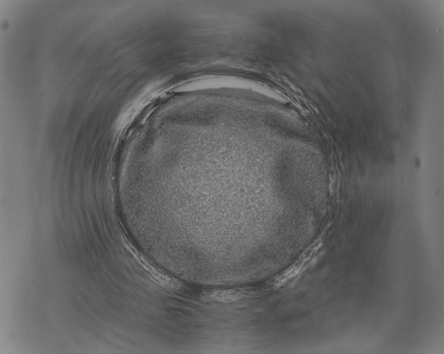 X0000076350341200610161804