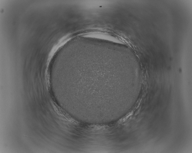 X0000076350343200610161804