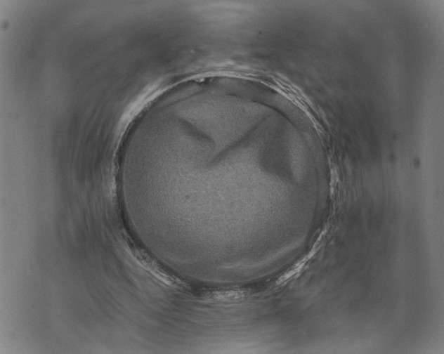 X0000076350344200610161804