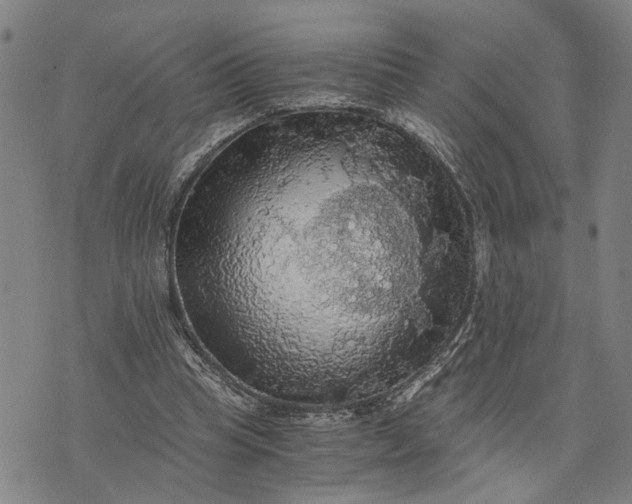 X0000076350345200610161804