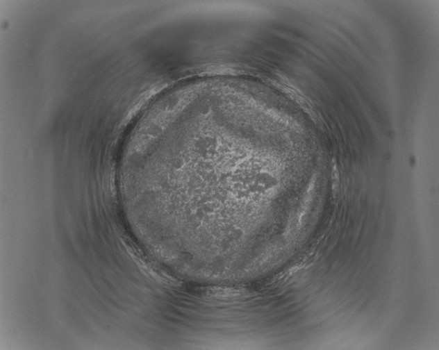 X0000076350347200610161804