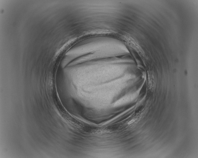 X0000076350348200610161804