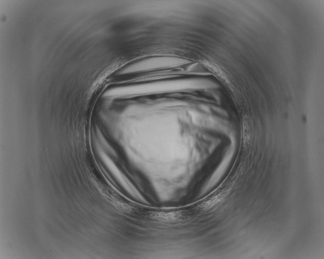 X0000076350349200610161804