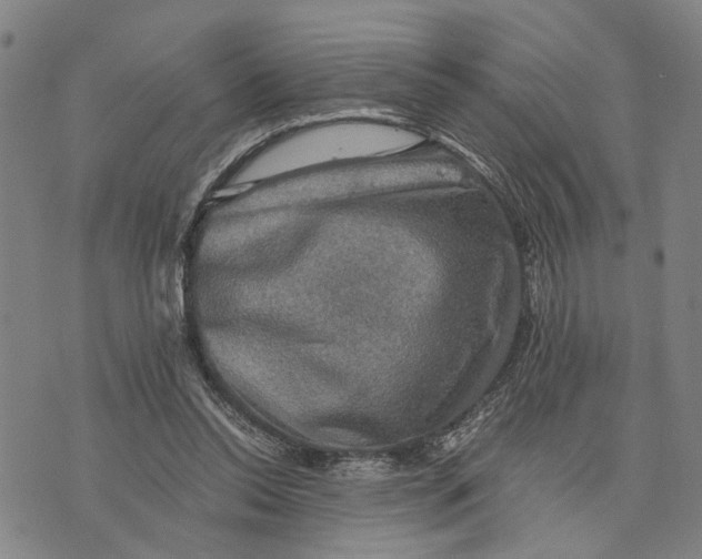 X0000076350350200610161804