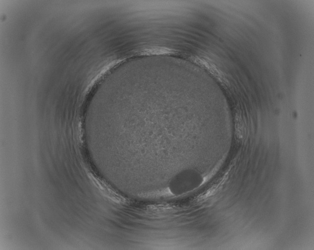 X0000076350351200610161804