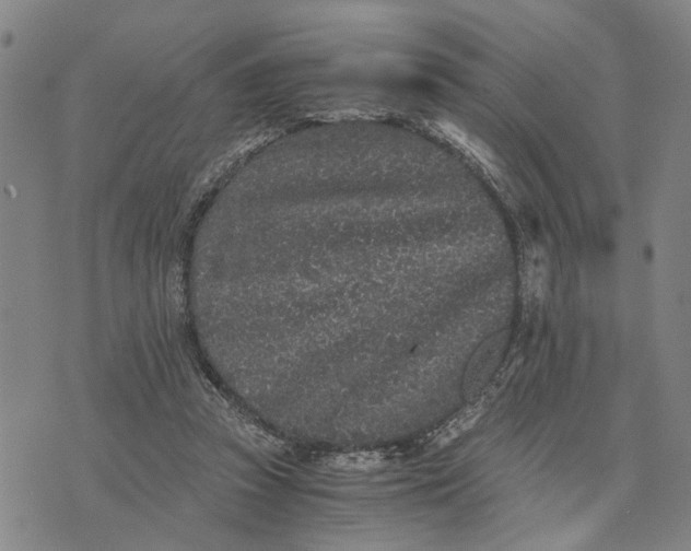 X0000076350353200610161804