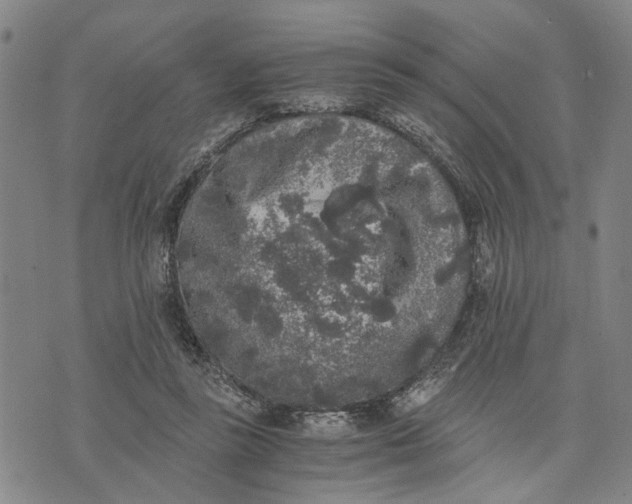 X0000076350355200610161804