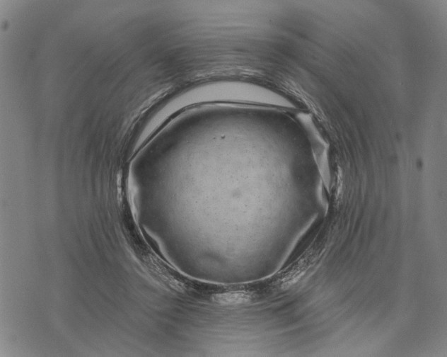 X0000076350356200610161804