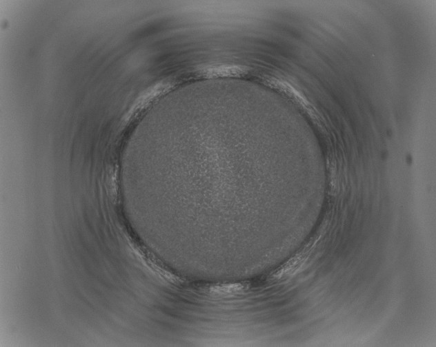 X0000076350357200610161804