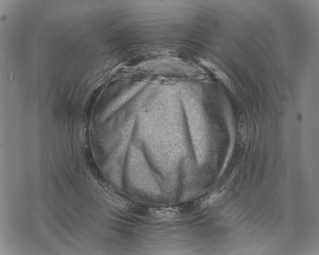 X0000076350359200610161804