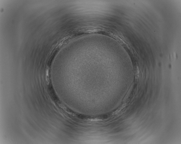 X0000076350360200610161804