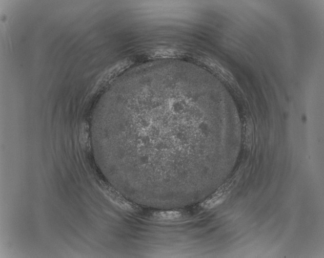 X0000076350361200610161804