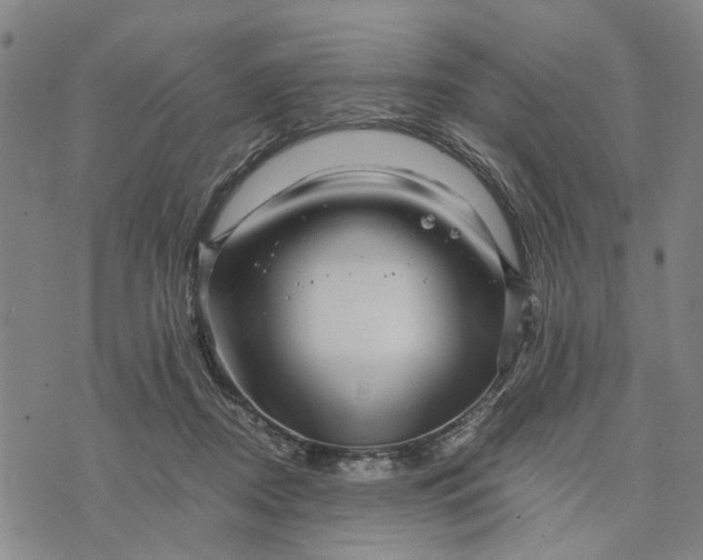 X0000076350362200610161805