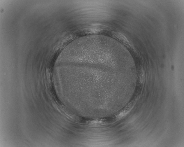 X0000076350366200610161805