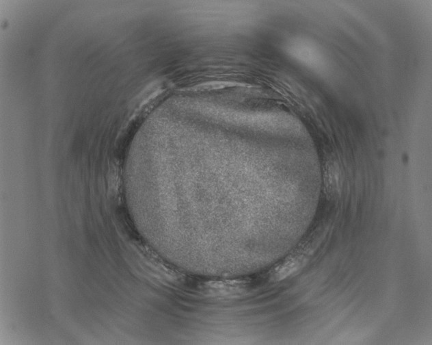 X0000076350367200610161805