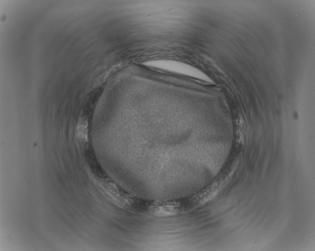 X0000076350368200610161805