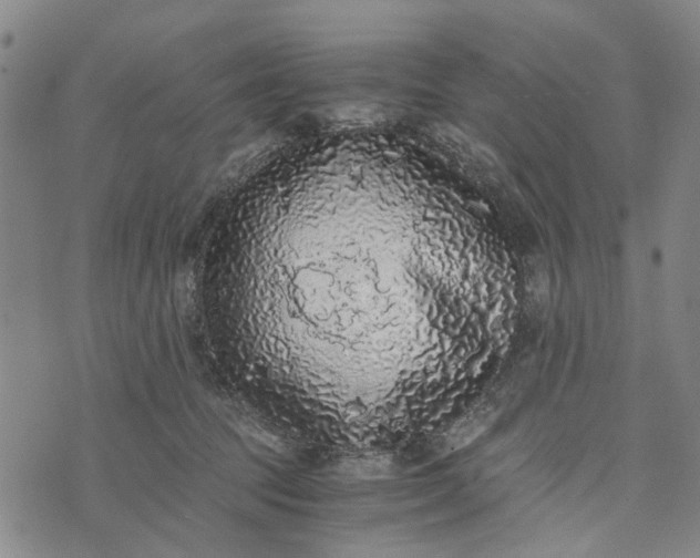 X0000076350369200610161805