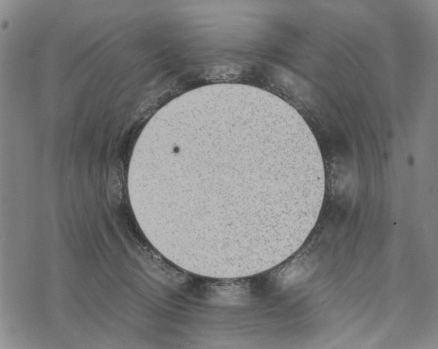 X0000076350370200610161805