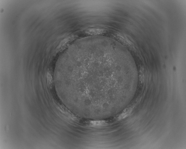 X0000076350371200610161805