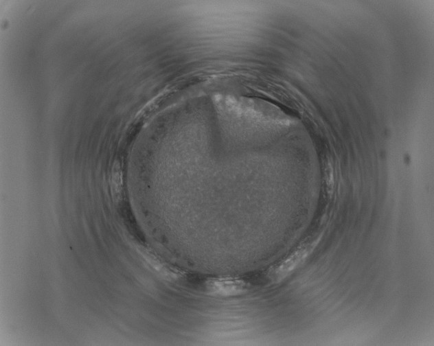 X0000076350372200610161805