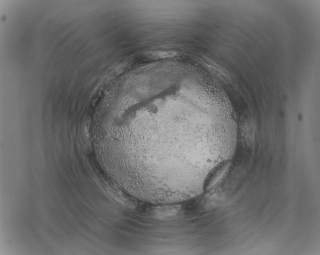 X0000076350373200610161805