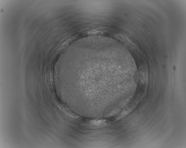 X0000076350375200610161805