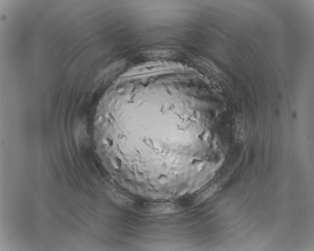 X0000076350377200610161805