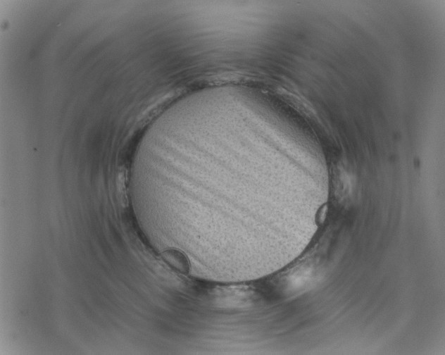 X0000076350378200610161805