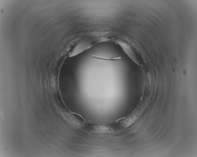 X0000076350380200610161805