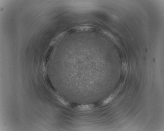 X0000076350381200610161805