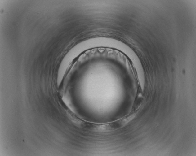 X0000076350382200610161805