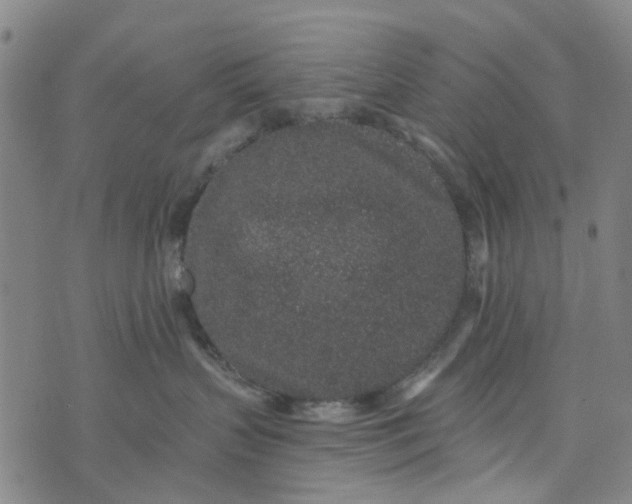 X0000076350383200610161805