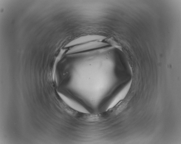 X0000076350384200610161805