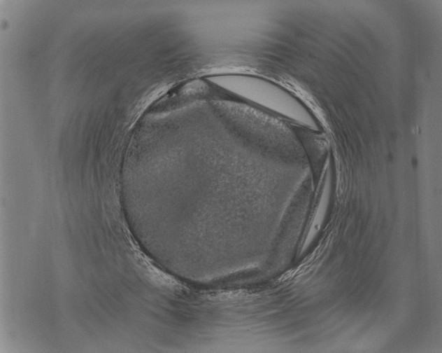 X0000076350385200610161804