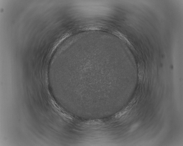 X0000076350386200610161804