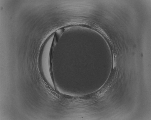 X0000076350387200610161804