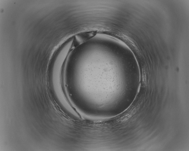 X0000076350388200610161804