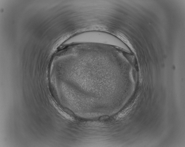 X0000076350389200610161804