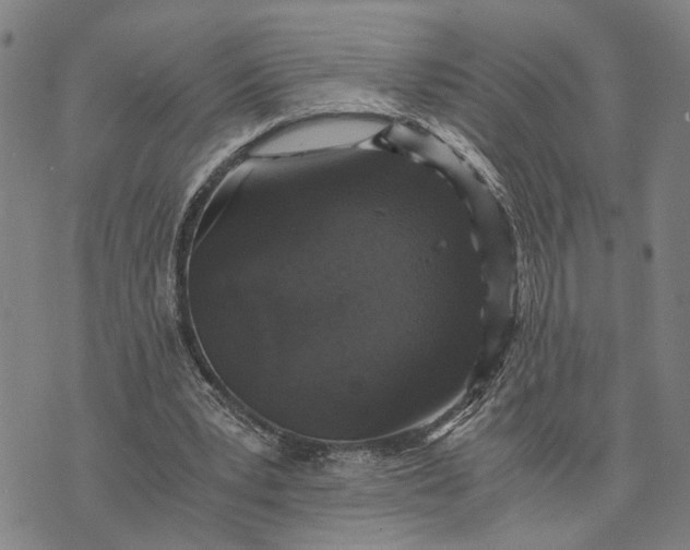 X0000076350391200610161804