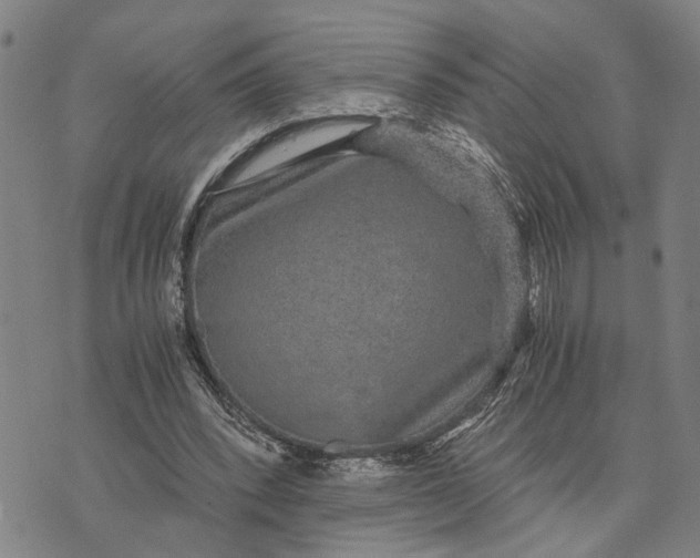 X0000076350392200610161804