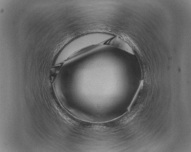 X0000076350393200610161804