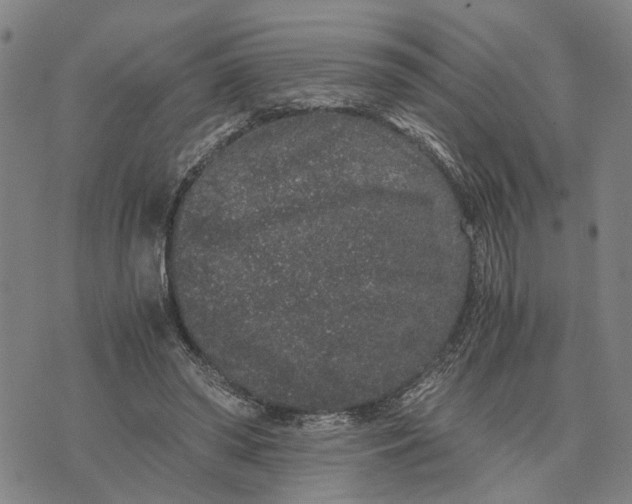 X0000076350398200610161804