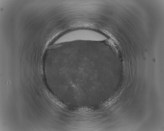 X0000076350399200610161804