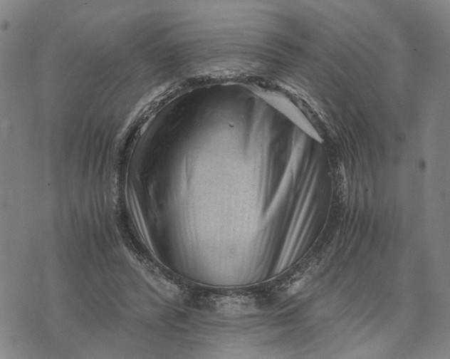 X0000076350400200610161804