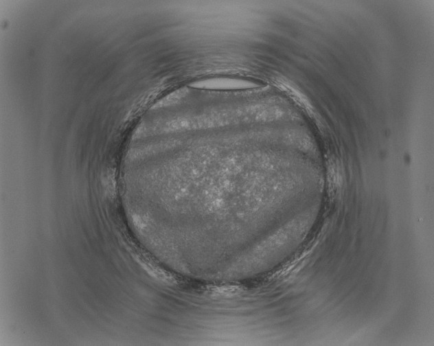 X0000076350401200610161804