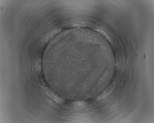 X0000076350402200610161804