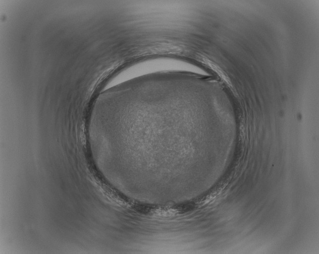 X0000076350403200610161804