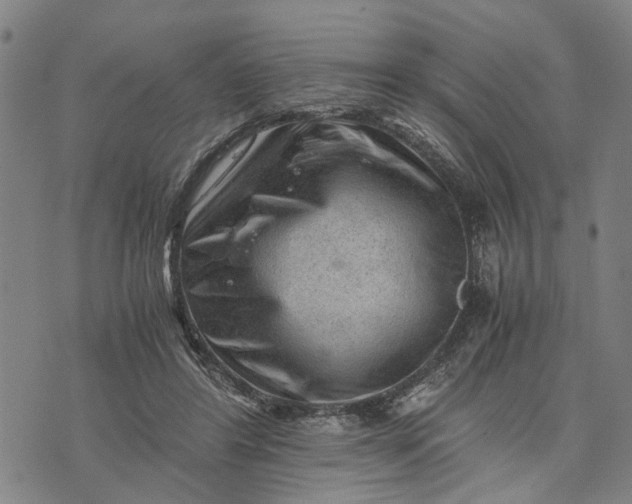 X0000076350404200610161804