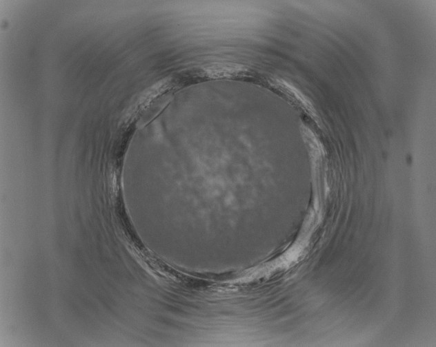 X0000076350405200610161804